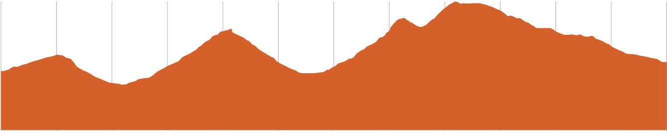 St Helens MTB | Humpback Elevation 