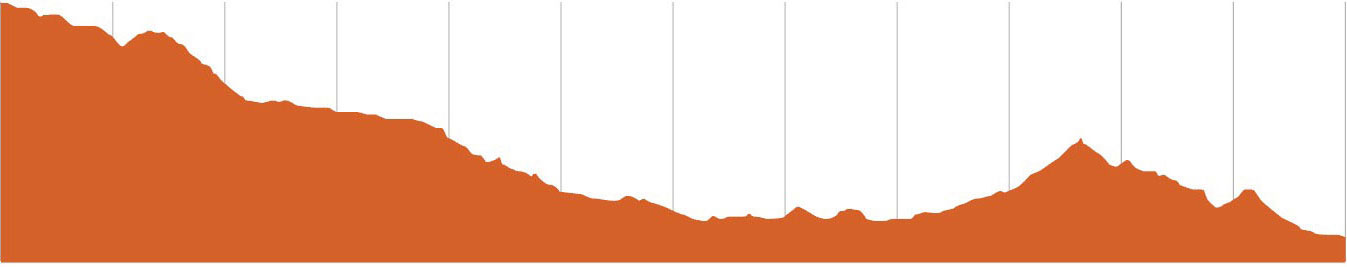 St Helens MTB | Salty Dog Elevation 