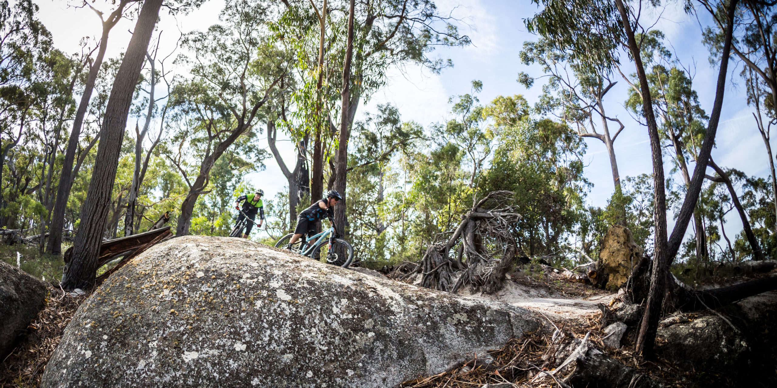 St Helens Mountain Bike Trails